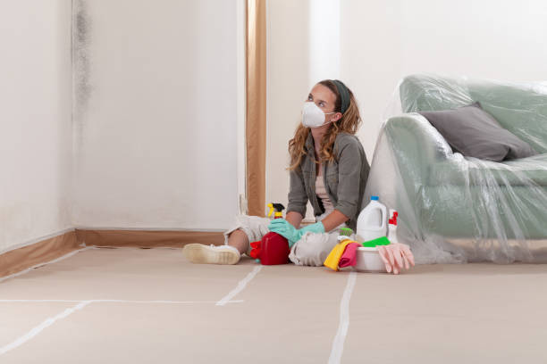 Reliable Mold Cleanup contractor in Flintstone, MD by WQB Mold Removal
